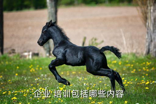 企業培訓課程開發案例,如何進行企業培訓?一文讀懂...